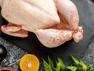 Украина увеличила экспорт мяса птицы, но заработала на нем меньше