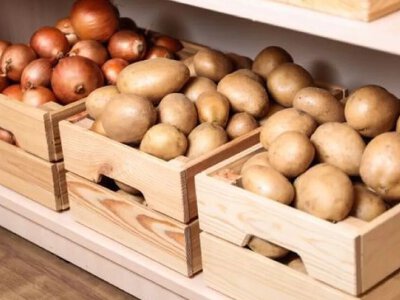 Не кладите картофель в это место: где его лучше хранить в квартире