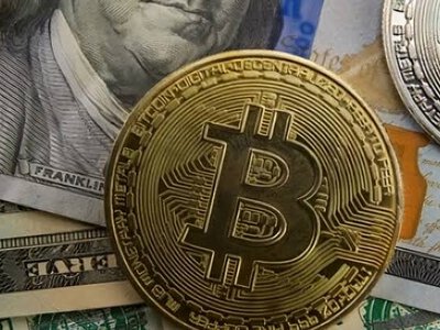 Биткойн становится менее волатильным: структура рынка всё в большей степени определяется долгосрочными держателями
