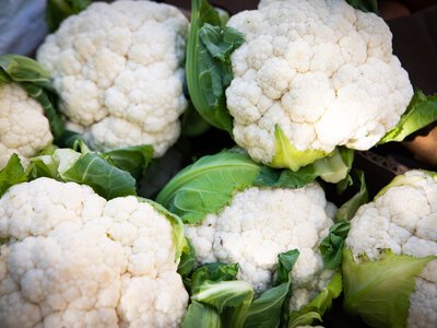 Сезонные ярмарки в Киеве: где покупать свежие продукты на этой неделе