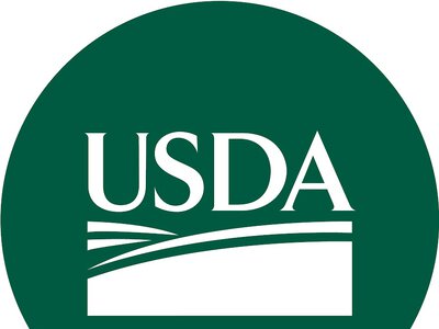 Переработка масличных в Украине может вырасти до 16,9 млн тонн – USDA
