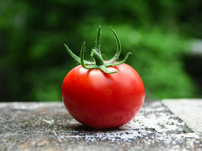 Томатна паста щодня: вчені перевірили, чи може звичайний продукт впливати на пам’ять і увагу