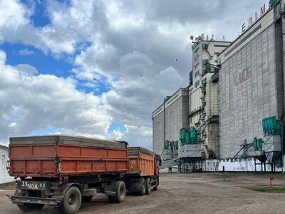 Продкорпорация отправила в южные регионы 427 вагонов с зерном