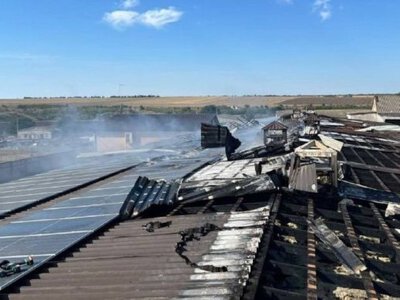 Российские войска атаковали птицеферму в Одесской области: сгорели солнечные панели и погибла птица