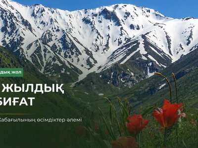 Природа, которой 100 лет