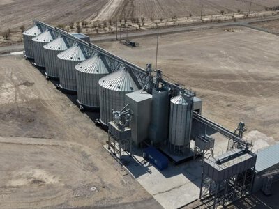  До 120 тысяч тонн зерна: крупный агрокомплекс появится в Алматинской области 