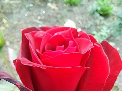 Синоптики рассказали, какой будет погода в Николаеве и области 16 сентября