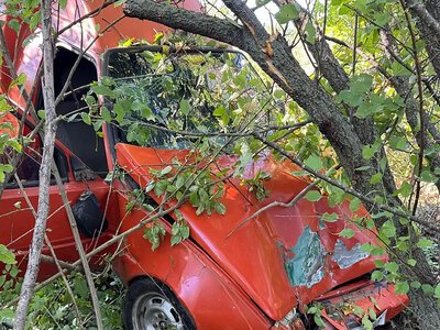 На трассе в Николаевской области «Пикап» врезался в дерево: пострадали две женщины