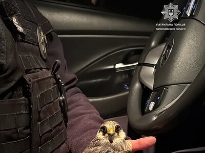 В Николаеве полицейские спасли хищника