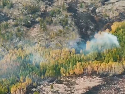  Лесной пожар в Баянаульском национальном парке локализовали 