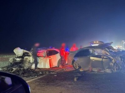  Toyota сбила верблюда и вылетела на встречку: погибли четверо 