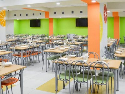 «Золотые» лампы и не только: спрятавшие в смете столовой лицея в Переяславе