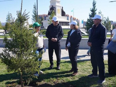 В областном центре ВКО в рамках экоакции высажено 250 саженцев
