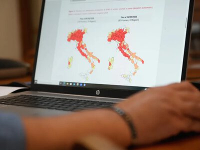 Вирус Западного Нила распространяется по Европе, в Италии зафиксировали более 650 случаев