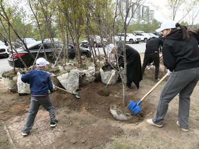 Тысячи деревьев и кустарников посадили жильцы многоэтажек и волонтеры в столичном районе Есиль
