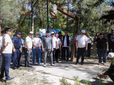 ГОРОЖАНЕ ВНЕСЛИ СВОЙ ВКЛАД В ЧИСТОТУ