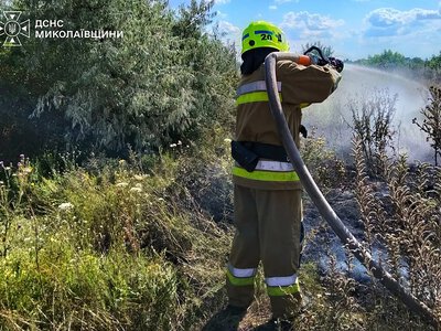 В Николаевской области во время тушения травы нашли тело женщины