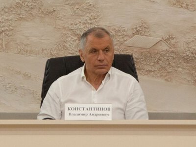 Российские власти заявили о продаже в 2026 году десяти «национализированных» активов украинцев в Крыму