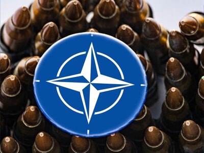 Украинский опыт заставляет НАТО ускорять военные процессы