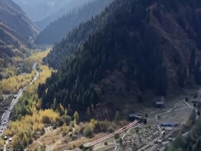 В Иле-Алатауском парке высадили 100 хвойных деревьев 