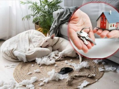 Аренда жилья в Днепре: когда арендодатель может не вернуть залог