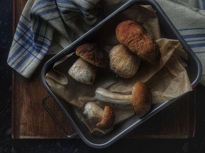 Какие грибы нельзя сушить на зиму и почему: как лучше их заготовить, чтобы сохранить вкус