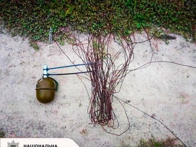 Опасная ловушка в лесу: в Киевской области нашли гранату, привязанную к дереву