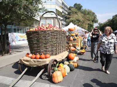 В Алматы в рамках празнования Дня города проходит яблочная ярмарка