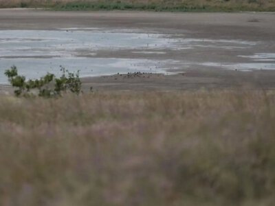 Зафиксирован повышенный уровень пыли в воздухе: разъяснения и рекомендации для жителей