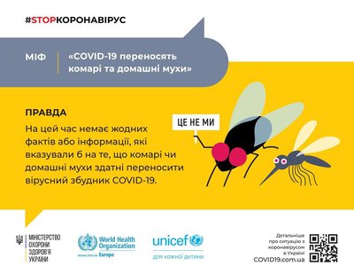 COVID-19 після укусу комара: чому цей популярний страх не підтвердився