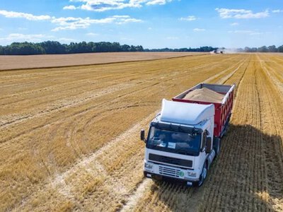 Август резко затормозил рост агропроизводства в Украине