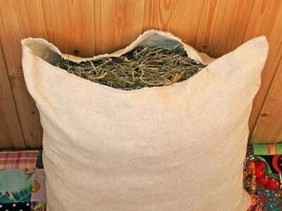 Как сделать матрас и подушки из целебных трав?