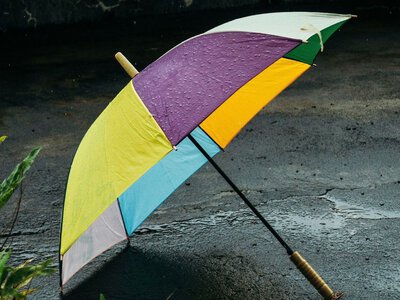 Дожди и сильный ветер сменятся потеплением: когда улучшится погода