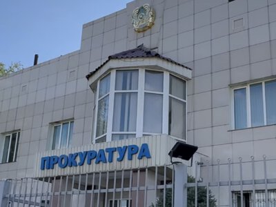  30 тысяч гектаров земли годами не использовали в Жетысу: участки вернули государству 