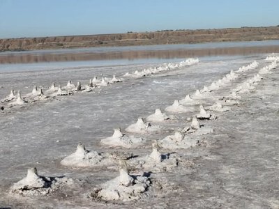 Для добычи соли на Куяльнике под Одессой построят новый завод: детали проекта