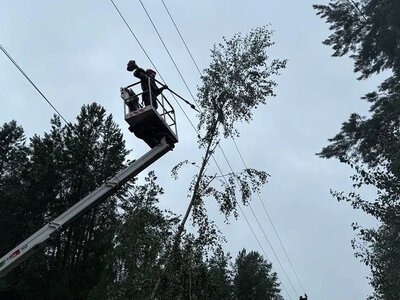 В Украине из-за обстрелов РФ обесточены объекты в восьми областях, более 600 населённых пунктов остаются без света из-за непогоды