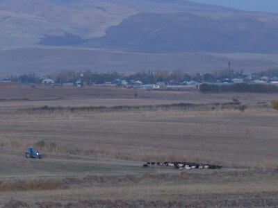  Кому передали возвращенные государству земли: ответили в Минсельхозе 