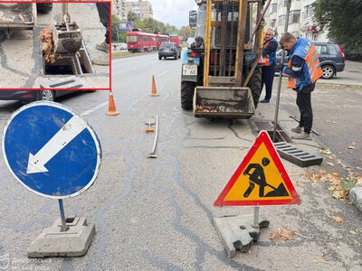 Очищают ливнеприёмники и убирают поваленные деревья: в Днепре борются с последствиями непогоды