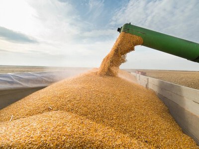 ЕС не хочет увеличивать аграрные квоты для Украины — министр АПК Украины