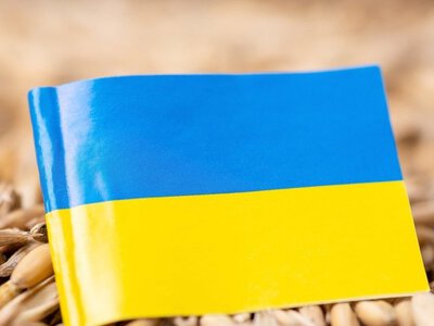 Польша ограничила хранение украинского зерна: аграрии призывают правительство вмешаться