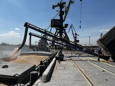 Сумма за простой уже $40,5 тыс: более 80 вагонов с молдавским зерном заблокированы в порту Рени