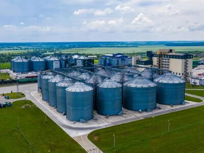 Евросоюз не готов увеличивать квоты на пшеницу: что будет просить Украина взамен