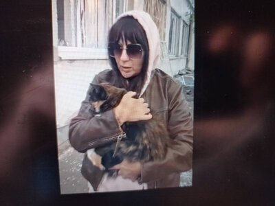 Біля пошкодженої лікарні та волонтерського штабу врятовано кицьку Марусю