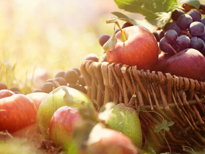 10 полезных продуктов осени