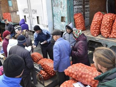 «Дала дәмі»: в Карагандинской области стартует сезон осенних сельхозярмарок