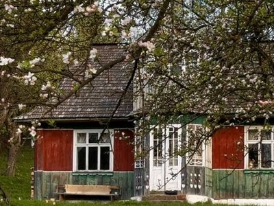 Женщина купила 100-летний дом в Карпатах за $13 тысяч: теперь там настоящий рай (фото)