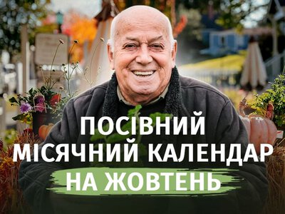 Жовтень ще не закриває город: що можна сіяти й садити за місячним календарем