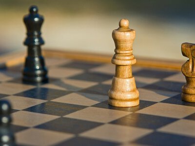  Казахстан впервые возглавил международную шахматную федерацию 