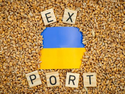 «Кернел» допускает сокращение производства зерна в Украине на 12 млн тонн в 2027 году