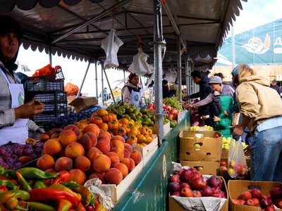 В Астану доставили более 400 тонн сельхозпродукции из трех областей